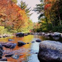 New Hampshire fall foliage