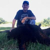 Pigman Billy Bragg hog