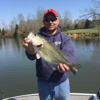 Cheatham Lake Bass
