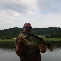 Bass catch of the day