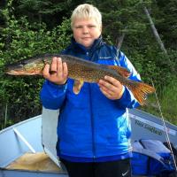 Fishing Pike at Red Lake Ontario
