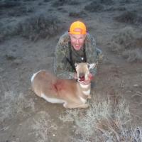 Wyoming 2013 Pronghorn