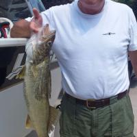John's walleye