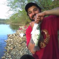 Crappie