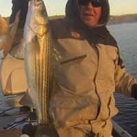 Connecticut Striper