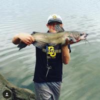 Channel Catfish - NICE!