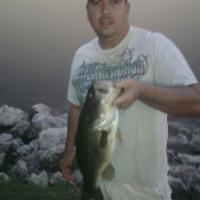 7 LB Bass