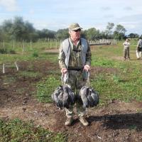 Bird Hunt in Argentina