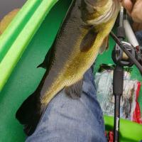 Kayak Fishing