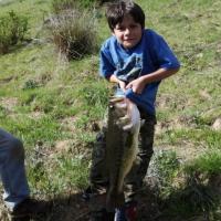 This Bass is almost as tall me!