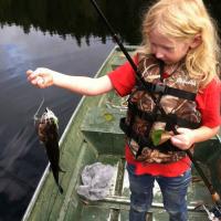 Caught this Bass with a Spinnerbait