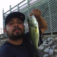 Bass Fishing