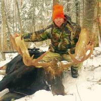 Big Game - Big Moose