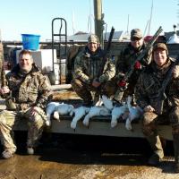 Snow Goose Hunting at its best