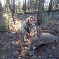 Arizona Deer with a Bow