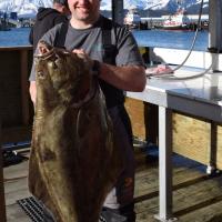 Pacific Halibut