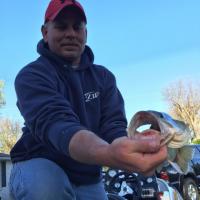 Open Wide Largemouth