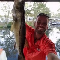 Catching Snook