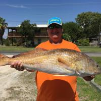 Burt Redfish 2015