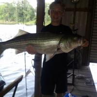 30 pound striper bass