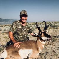 pronghorn antelope