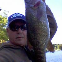 Bass On the Drop Shot