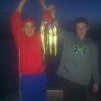 Lots of walleye