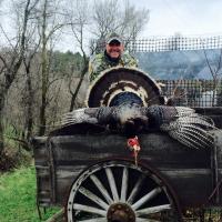 Nice Turkey Darrell!