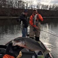 Fishing Stripers