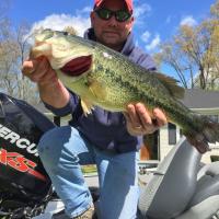 A Big Largemouth Bass