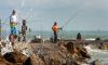 News & Tips: Jetty Fishing Tricks, Prime Species to Fish & Best Bait to Use...