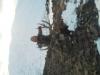 Profile picture for user nedrahartley@yahoo.com